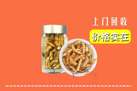 收购资讯:巴彦卓尔临河区回收散虫草